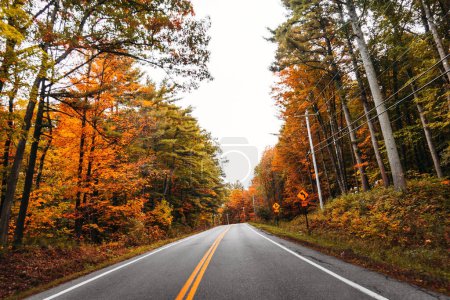 Autumnal Road Trip: Car Driving Through New England, USA Amidst the Autumn Season - 4K Ultra HD photo