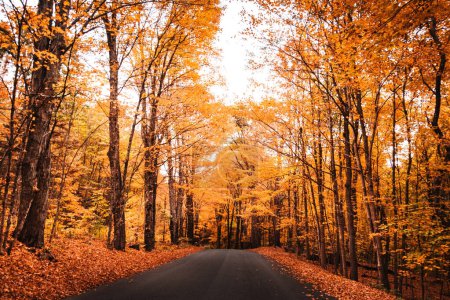 Autumn Symphony: Captivating New England Road in 4K Ultra HD