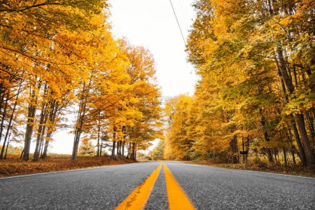 Autumnal Road Trip: Car Driving Through New England, USA Amidst the Autumn Season - 4K Ultra HD photo