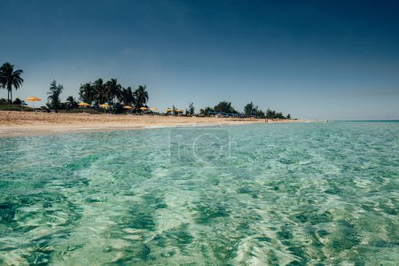  Sunlit Shoreline: Enjoying the Tranquil Scene of Beach Waves on a Summer Day - 4K Ultra HD image