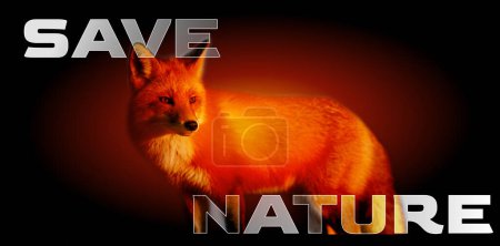 Photo for Illustration for saving the nature - Royalty Free Image