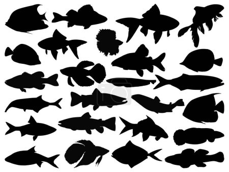 Conjunto de peces silueta vector de arte