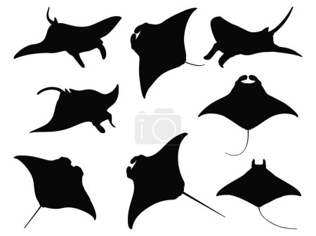 Téléchargez les illustrations : Ensemble d'art vectoriel de silhouette de rayon manta - en licence libre de droit