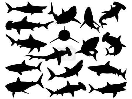 Téléchargez les illustrations : Art vectoriel de la silhouette de requin sur fond blanc - en licence libre de droit
