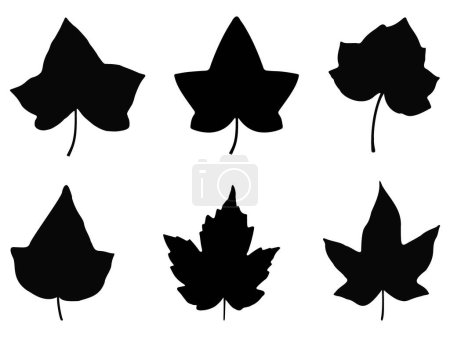 Illustration for Ivy leaf silhouette vector art on a white background - Royalty Free Image