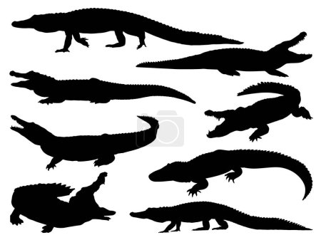 Téléchargez les illustrations : Ensemble d'art vectoriel de silhouette d'alligator - en licence libre de droit
