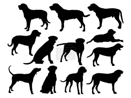 Set of Broholmer dog silhouette vector art