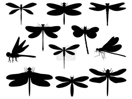 Téléchargez les illustrations : Jeu d'art vectoriel silhouette libellule - en licence libre de droit
