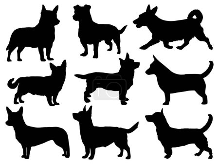 Illustration for Set of Lancashire Heeler Dog Silhouette vector art - Royalty Free Image