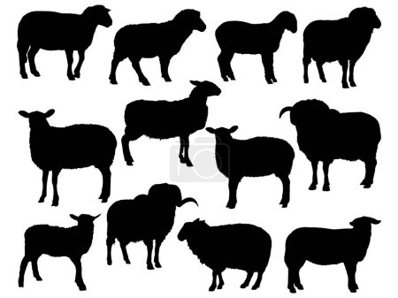 Téléchargez les illustrations : Ensemble d'art vectoriel de silhouette de mouton - en licence libre de droit