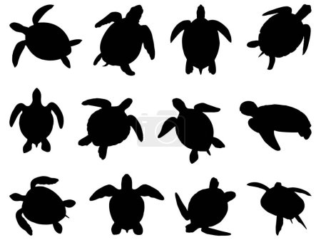 Set of sea turtle silhouette vector art