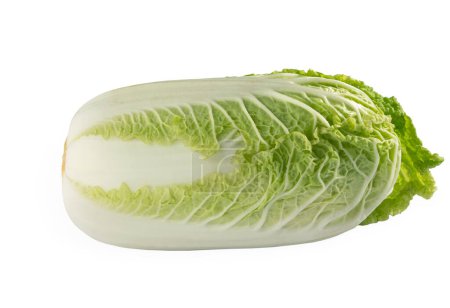 Pekinese green cabbage on the white isolated background. Close-up