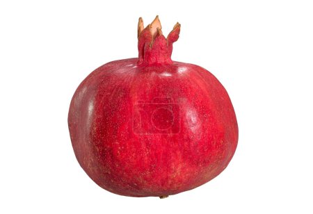 Foto de Una granada roja fresca aislada sobre un fondo blanco. - Imagen libre de derechos