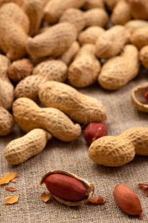 Healthy peanuts, close-up on burlap. Peanut background.