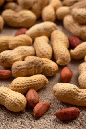Delicious shelled peanuts on burlap. Peanut background.