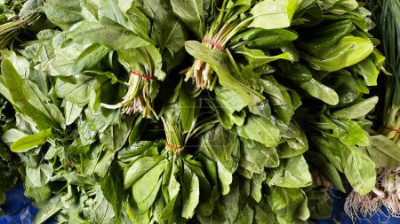 Photo for Bunches of spinach at the farmers' market. - Royalty Free Image