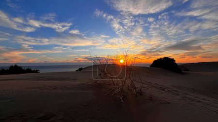 Photo for Sunset view from the dunes of Patara, Turkey. Dry bushes. - Royalty Free Image