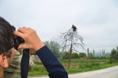 Foto de El chico está observando aves. El niño observa las cigüeñas en el nido con prismáticos. - Imagen libre de derechos