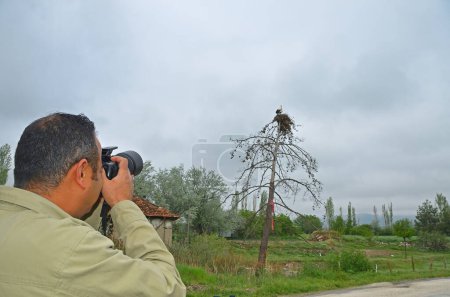 Er fotografiert Vögel. Der Mann fotografiert die Störche im Nest.