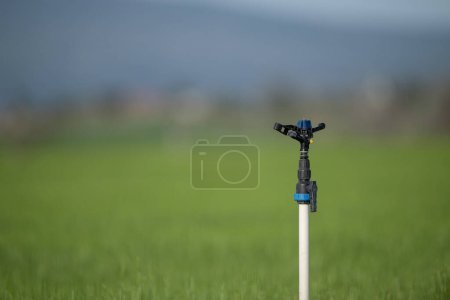 Foto de Sistema de riego por aspersión en el campo. Fondo verde borroso. - Imagen libre de derechos