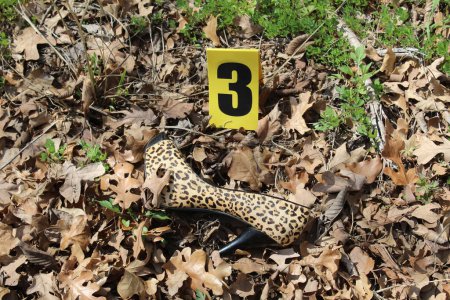 Foto de Marcador de escena del crimen y zapato de leopardo de mujer - Imagen libre de derechos