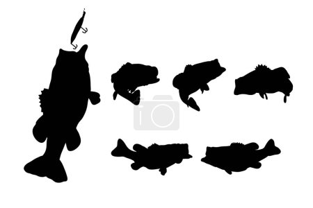 Illustration for Set of silhouettes of bass fishing vector design - Royalty Free Image