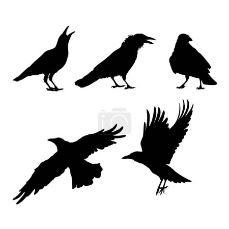 Illustration for Set of silhouettes of black crows vector design - Royalty Free Image