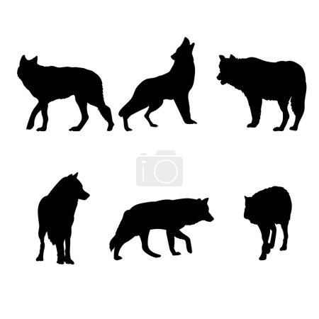 Ilustración de Conjunto de siluetas de lobos diseño vectorial - Imagen libre de derechos