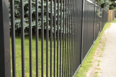 Téléchargez les photos : Longue clôture en métal noir avec pin et herbe derrière elle - en image libre de droit
