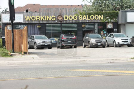 Téléchargez les photos : Entrée saloon chien de travail avec panneau et parking et route en face - en image libre de droit