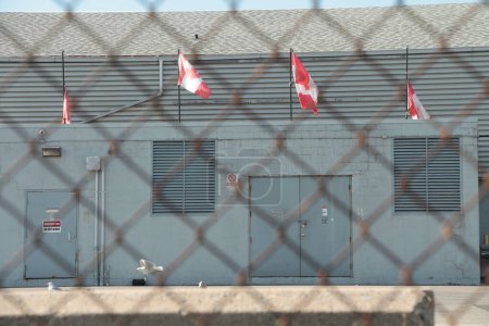 Téléchargez les photos : Quatre drapeaux canadiens du canada soufflant mal dans le vent les uns à côté des autres depuis le toit avec un mur bleu, gros plan - en image libre de droit