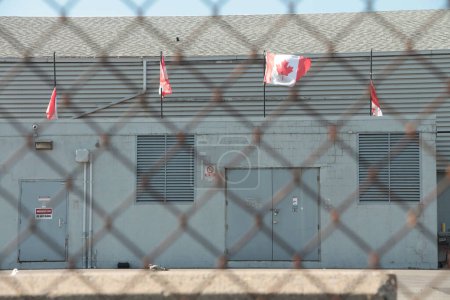 Téléchargez les photos : Quatre drapeaux canadiens du Canada les uns à côté des autres depuis le toit, dont un souffle de vent avec un mur bleu, gros plan - en image libre de droit