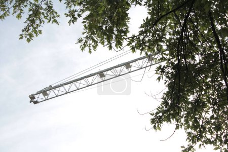 Photo for Construction crane high in sky with blue sky clouds behind, tip pointing out with tree leaves branches in foreground - Royalty Free Image
