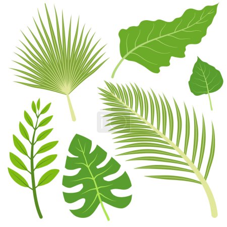Ilustración de Hojas tropicales, planta monstera, follaje de palmeras, follaje de la selva, ilustración vectorial - Imagen libre de derechos