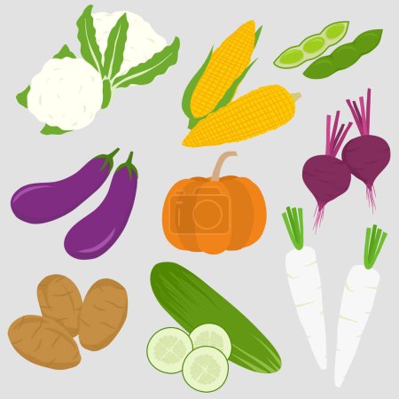 Téléchargez les illustrations : Ensemble de différents légumes biologiques - en licence libre de droit