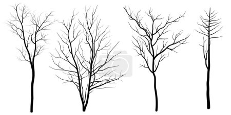 conjunto de árboles desnudos. ilustración vectorial. 