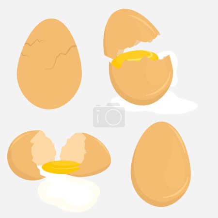 Téléchargez les illustrations : Illustration vectorielle des œufs - en licence libre de droit