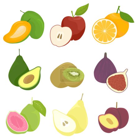 Illustration for Vector set of fruits on white background - Royalty Free Image