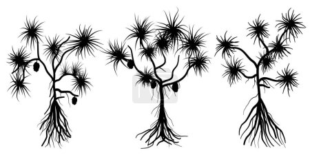 Illustration for Set of silhouette of pandanus tree branches. vector illustration. - Royalty Free Image