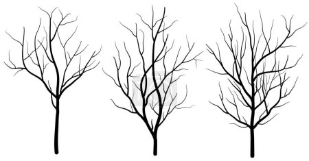 Ilustración de Árboles siluetas establecidas sobre fondo blanco. ilustración vectorial - Imagen libre de derechos