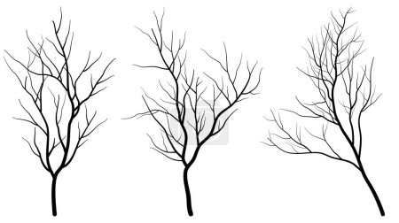 Ilustración de Conjunto de árboles desnudos. ilustración vectorial dibujado a mano. aislado sobre un fondo blanco, boceto para el diseño, impresión, textil. - Imagen libre de derechos