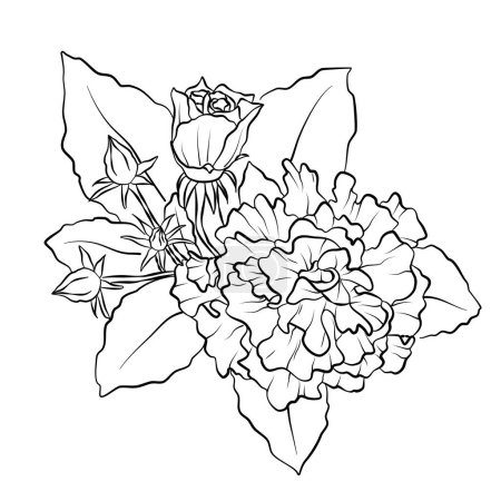 Illustration for Line art of hibiscus rosa-sinensis plenus commonly named garden rose mallow, shoe-black-plant - Royalty Free Image