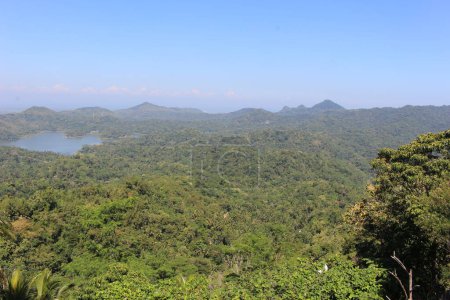 Foto de El paisaje del parque nacional khao yai - Imagen libre de derechos