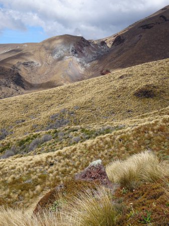Photo for On the tongariro crossing trail - Royalty Free Image