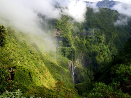 Téléchargez les photos : Trou de Fer ou trou de fer, la plus haute cascade française au milieu d'une forêt primaire de Bebour dans l'île de la Réunion, France - en image libre de droit