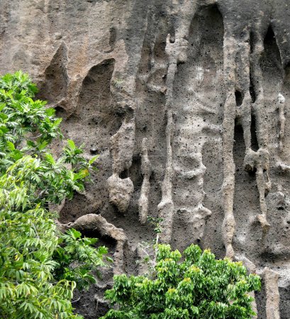 Téléchargez les photos : Les falaises volcaniques naturelles de la pouzzolana sur l'île de la Réunion à Entre Deux, près de Saint Louis, France - en image libre de droit