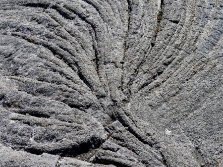 Foto de Extraña forma de árbol en el flujo de lava solidificado de pitón de la Fournaise, Reunión, Francia - Imagen libre de derechos
