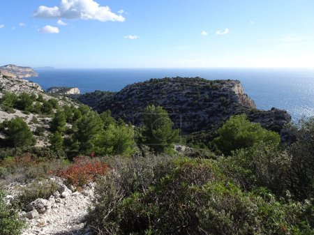 Photo for Scenic hike in the calanques from marseille to cassis, south of France, mediterranean landscape - Royalty Free Image