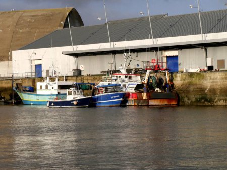 Téléchargez les photos : Lorient, Morbihan, France - 19 novembre 2023 : flotte de pêche sur le quai dans le port de Lorient - en image libre de droit