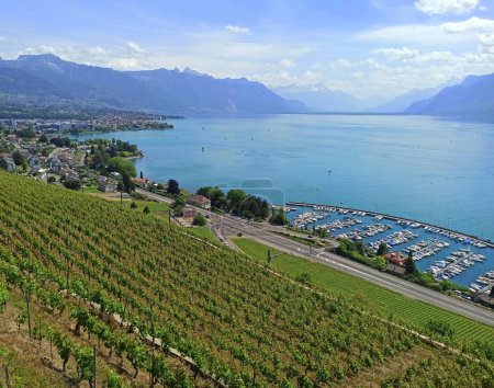 Photo for Picturesque swiss landscape of terraced vineyards of Lavaux in Switzerland in front of Geneva lake - Royalty Free Image